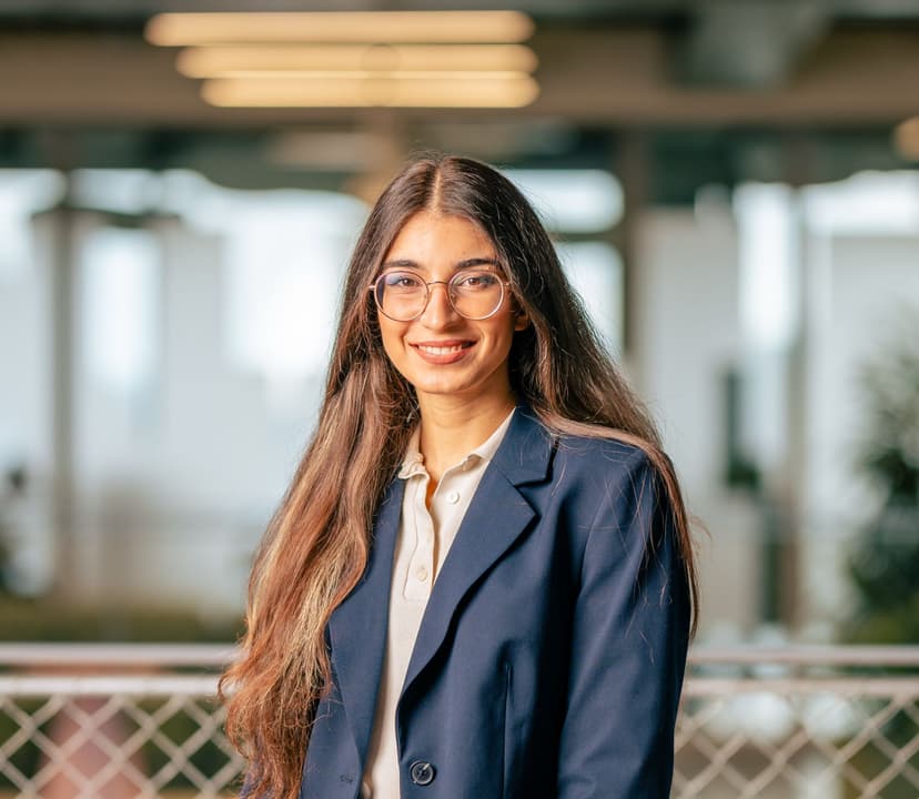 Ani Tovmasyan - Dein Lernguide